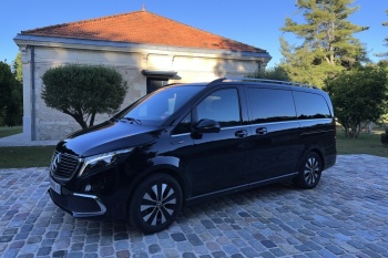 BORDEAUX GREEN VAN